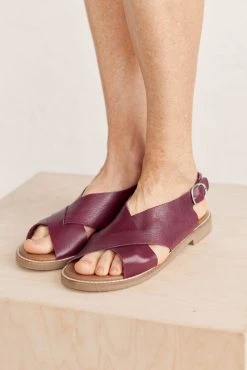 Seasalt Purple Cross-Strap Leather Kite Flying Sandals -Cheap Seasalt Store unnamed file 738 scaled